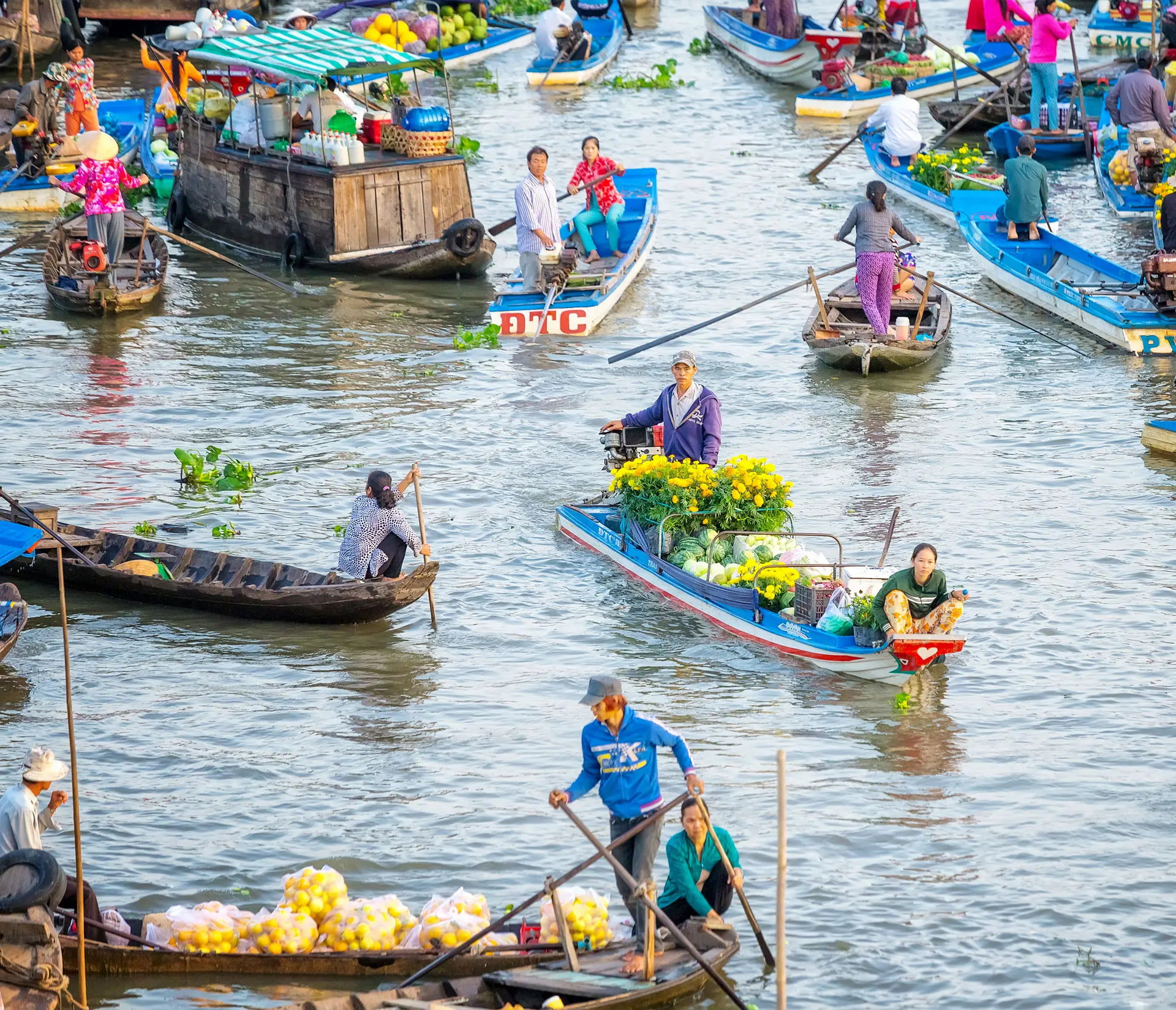 Mekong Delta