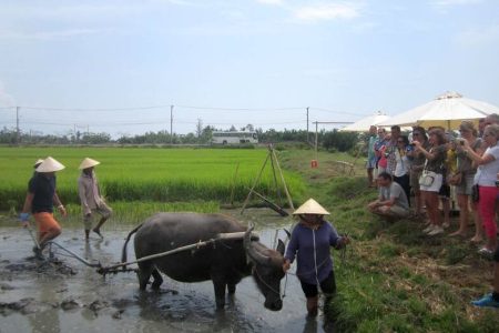 Da Nang – Hoi An Vietnam Tour 5 Days